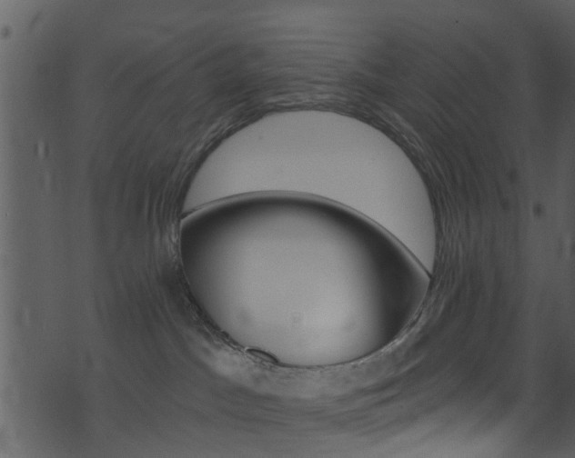 X0000074260045200608250911