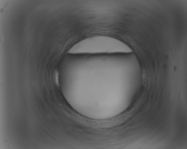 X0000074260046200608250911