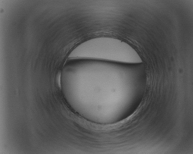 X0000074260047200608250911