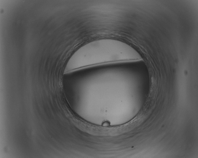 X0000074260048200608250911