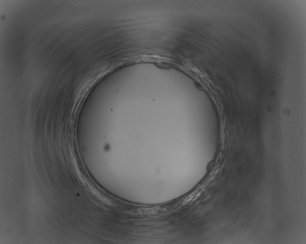 X0000074260049200608250910