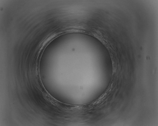 X0000074260050200608250910