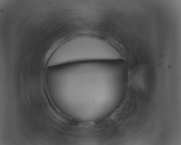 X0000074260051200608250910