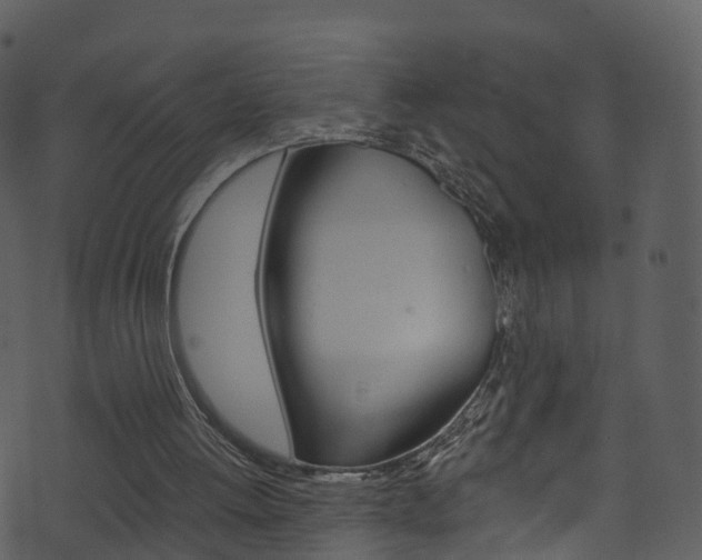 X0000074260052200608250910