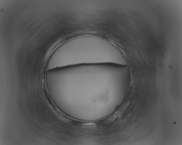 X0000074260053200608250910