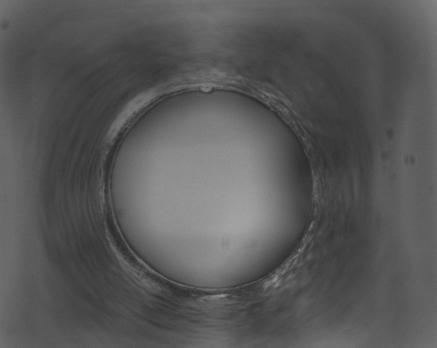 X0000074260054200608250910