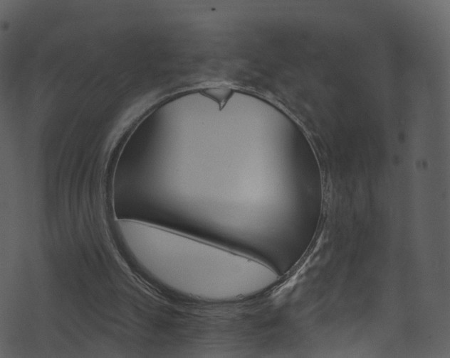 X0000074260055200608250910