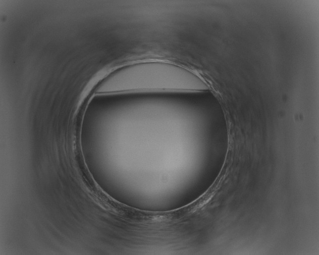 X0000074260056200608250910