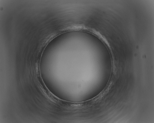 X0000074260057200608250910