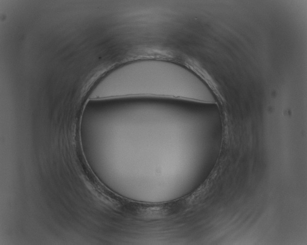 X0000074260058200608250910