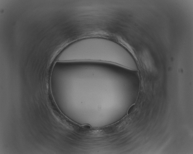 X0000074260059200608250910