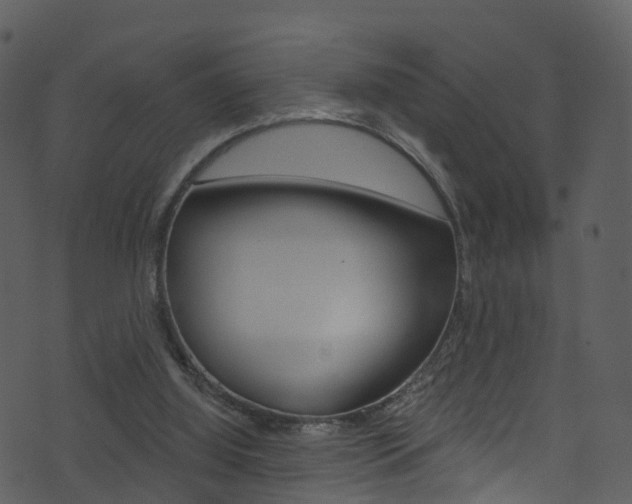 X0000074260060200608250910