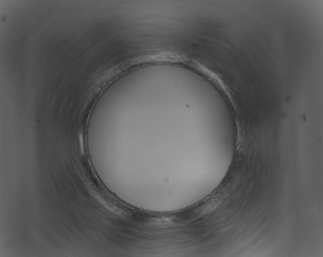 X0000074260061200608250910