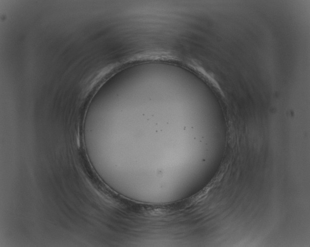 X0000074260062200608250910