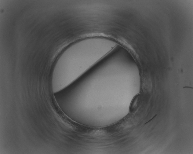 X0000074260063200608250910