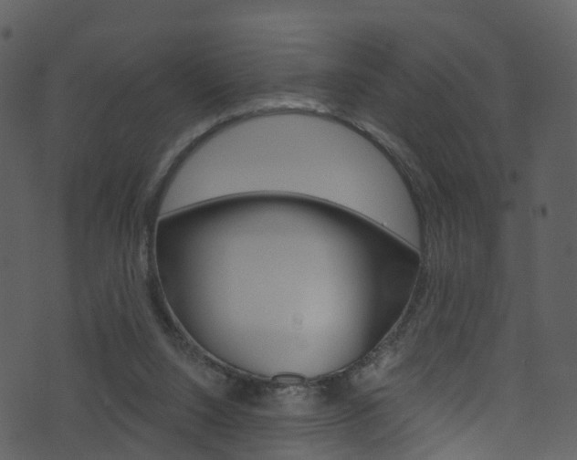 X0000074260064200608250910