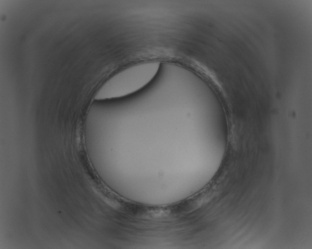 X0000074260065200608250910