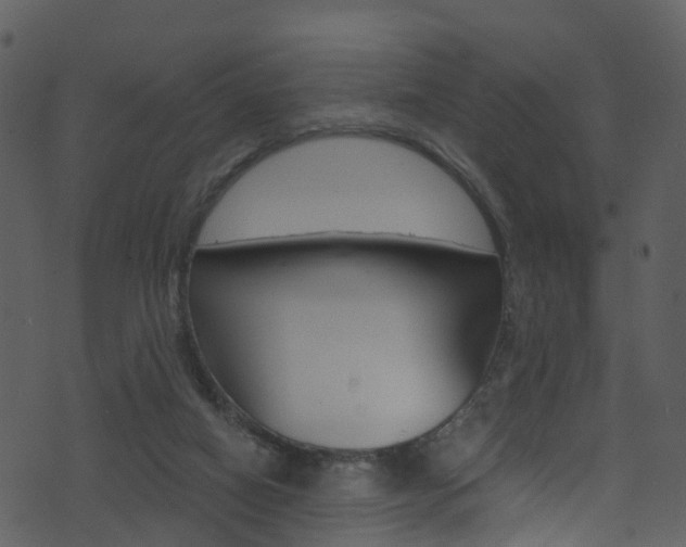 X0000074260066200608250910