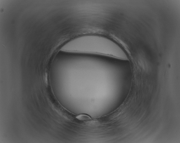 X0000074260067200608250910