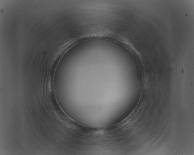 X0000074260068200608250910