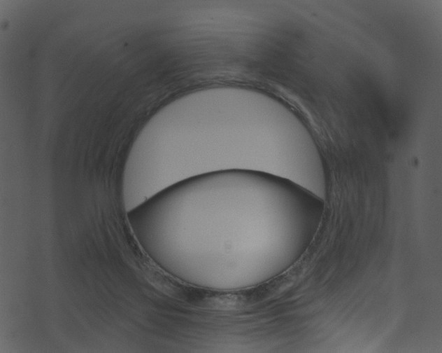 X0000074260069200608250910