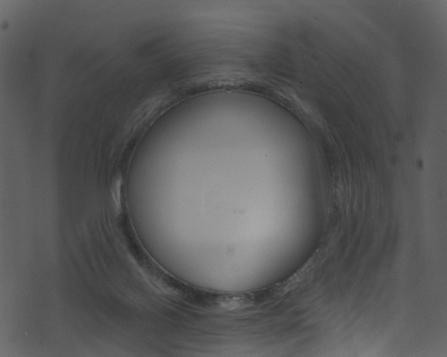 X0000074260070200608250910