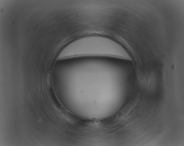 X0000074260071200608250910