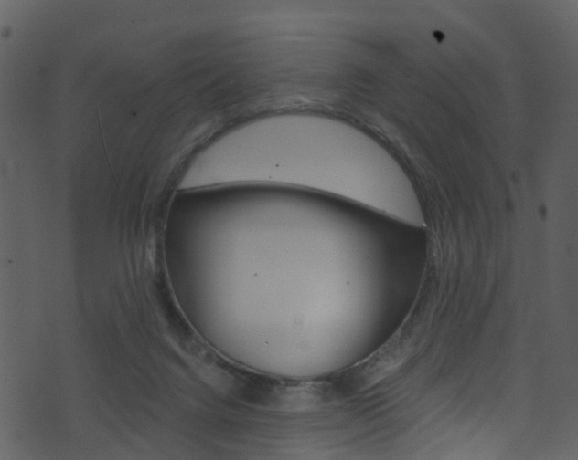 X0000074260072200608250910