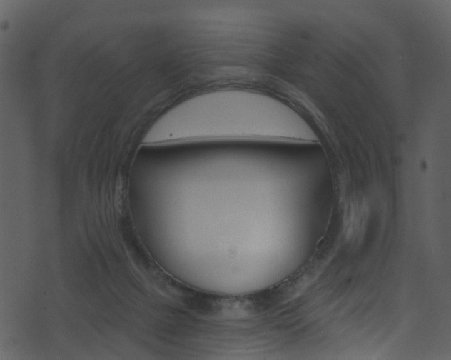 X0000074260073200608250910