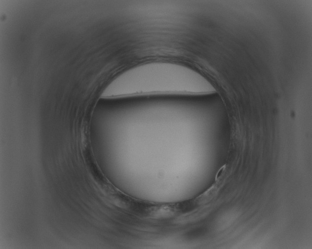 X0000074260074200608250910