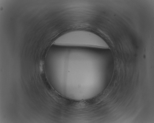 X0000074260075200608250910