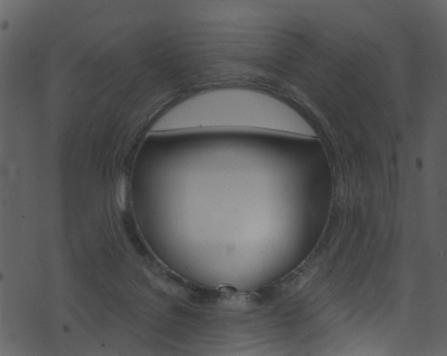 X0000074260076200608250910