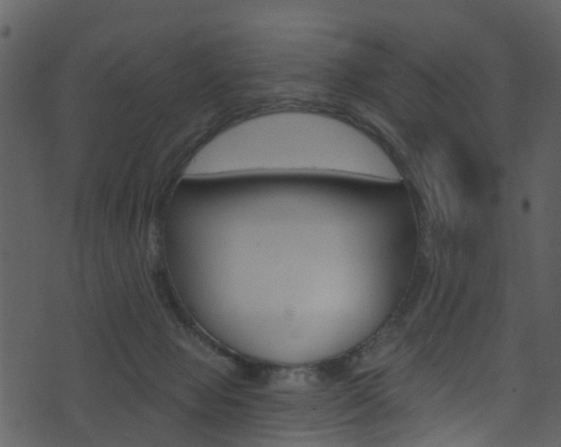 X0000074260077200608250911