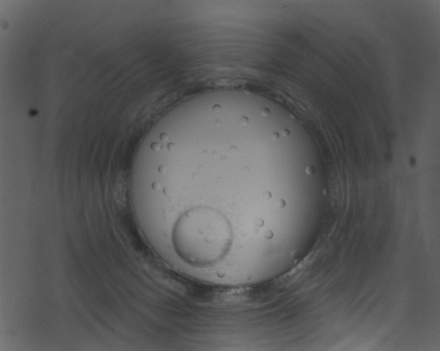 X0000074260078200608250911