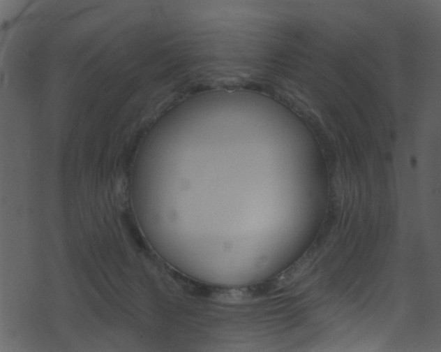 X0000074260079200608250911