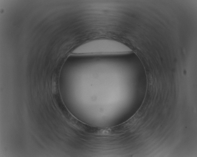 X0000074260080200608250911