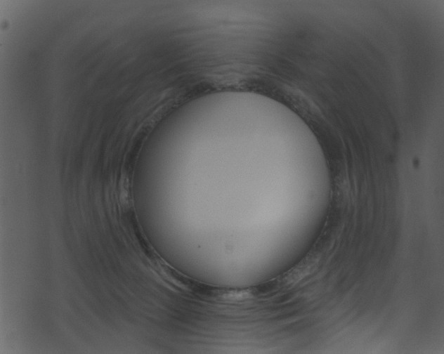 X0000074260081200608250911