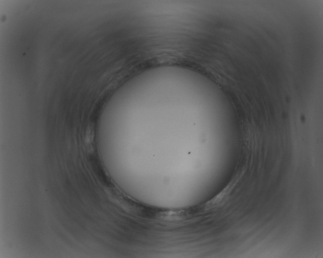 X0000074260082200608250911