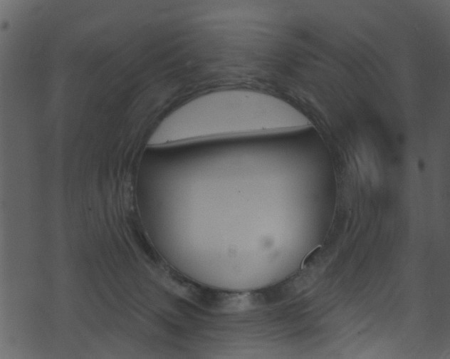 X0000074260083200608250911