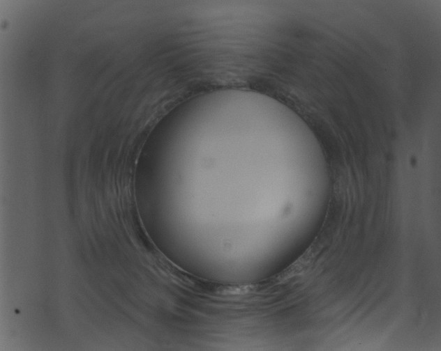 X0000074260084200608250911