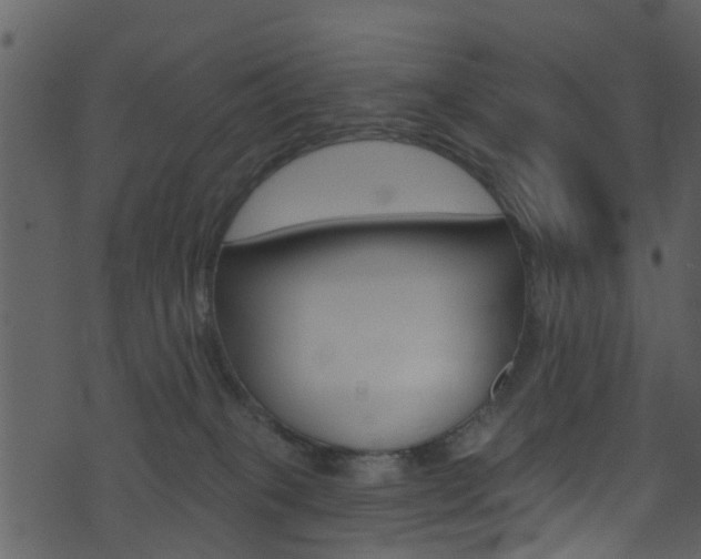 X0000074260085200608250911