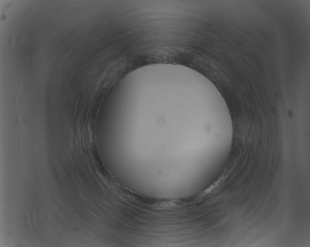 X0000074260086200608250911