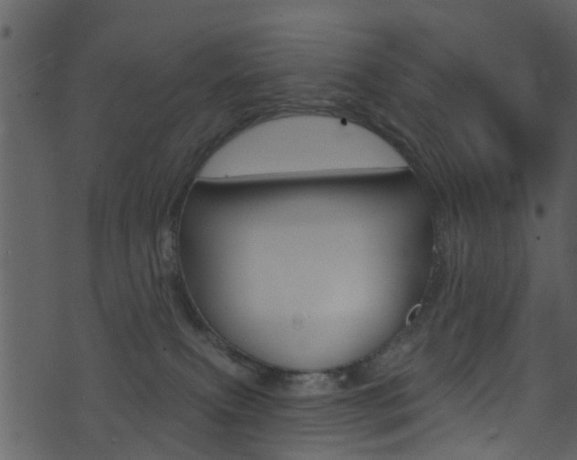 X0000074260087200608250911