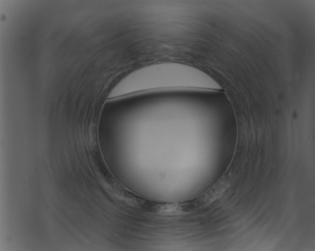 X0000074260088200608250911