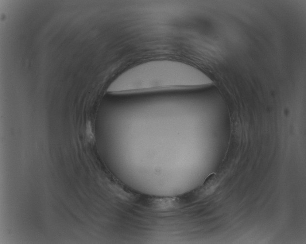 X0000074260089200608250911