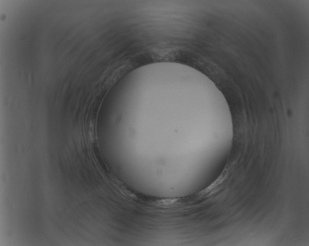 X0000074260090200608250911