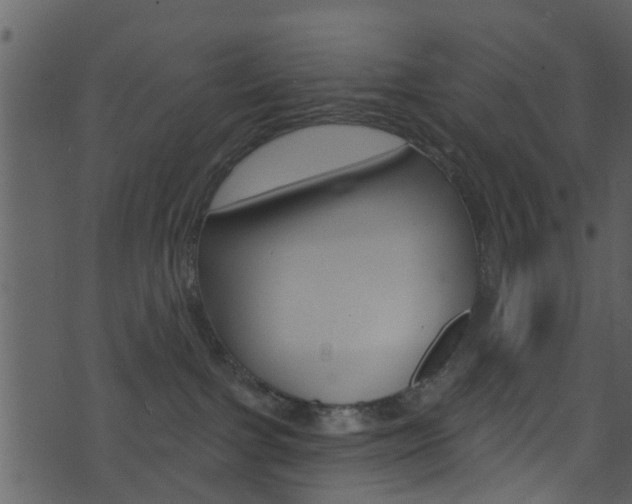 X0000074260091200608250911