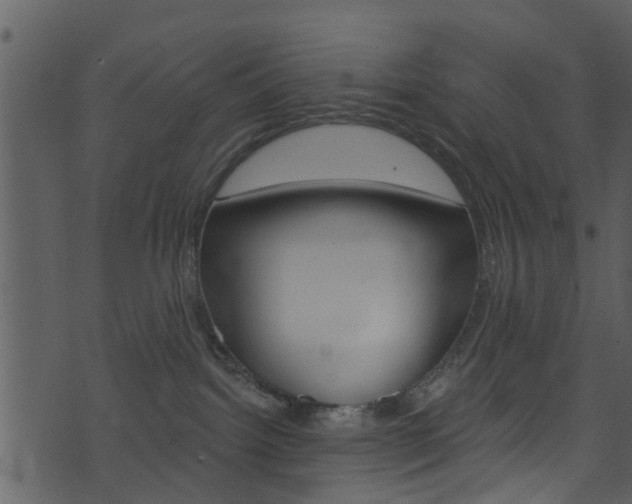 X0000074260092200608250911