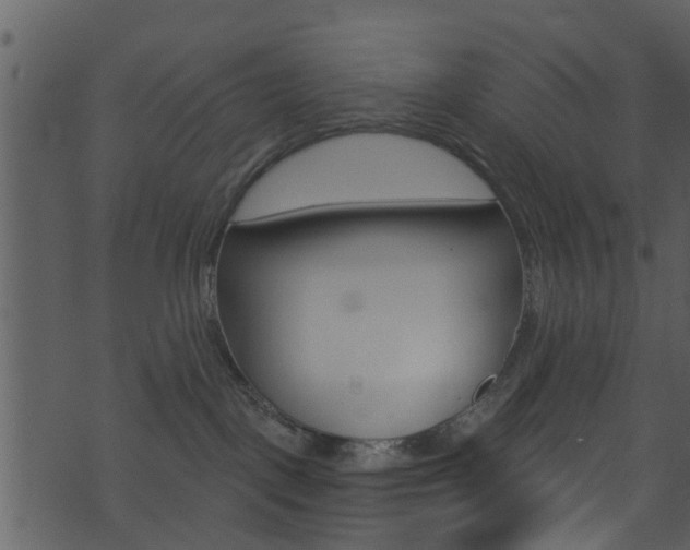 X0000074260093200608250911