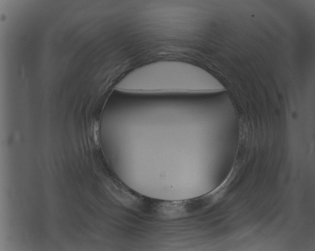 X0000074260094200608250911